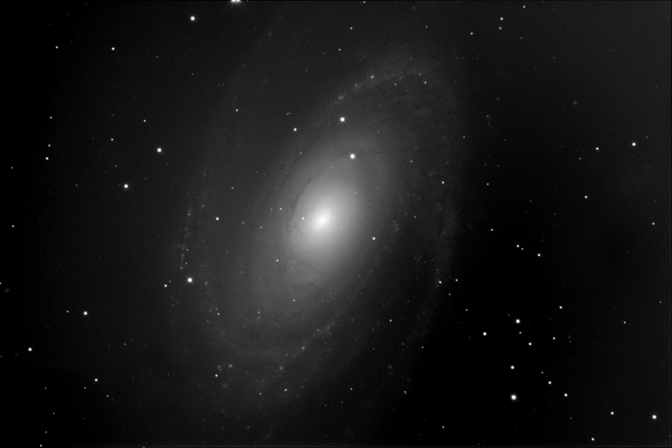 M81